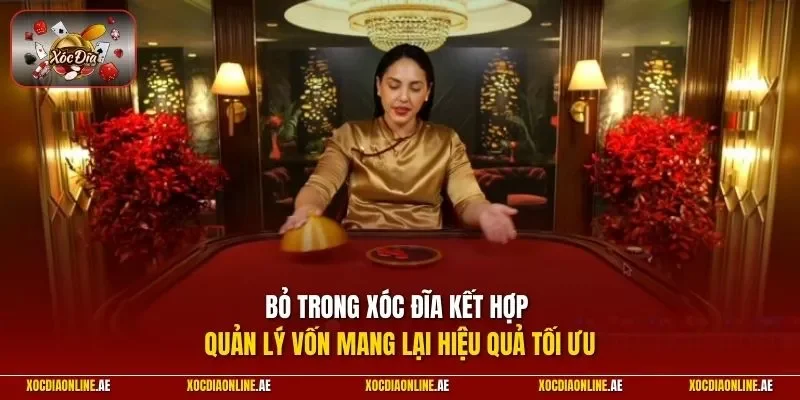 Bỏ trong xóc đĩa kết hợp quản lý vốn mang lại hiệu quả tối ưu