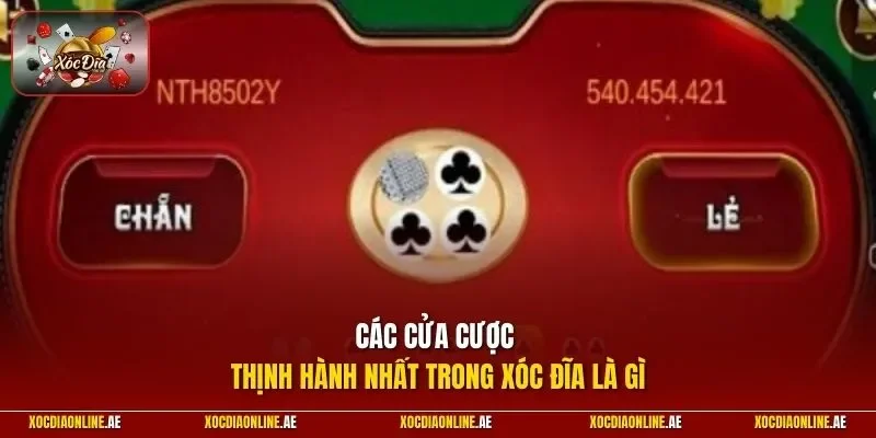  Các cửa cược thịnh hành nhất trong xóc đĩa là gì